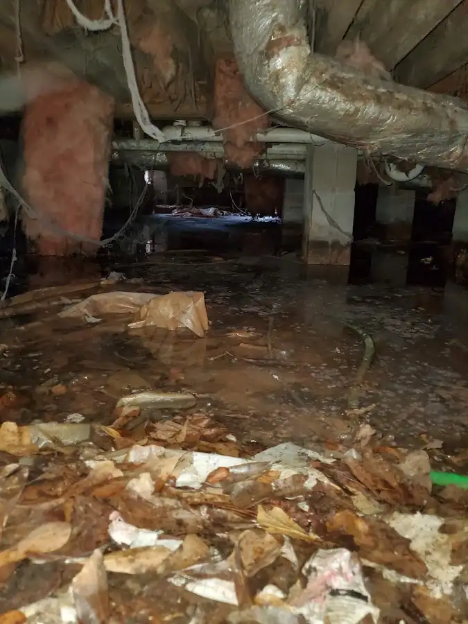 Crawl space flood assessment for Leak Detection & Repair in Nyack